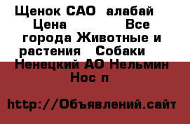 Щенок САО (алабай) › Цена ­ 10 000 - Все города Животные и растения » Собаки   . Ненецкий АО,Нельмин Нос п.